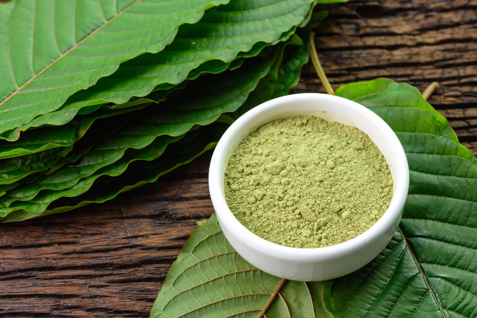 Key Considerations Before Using Kratom: What You Need to Know