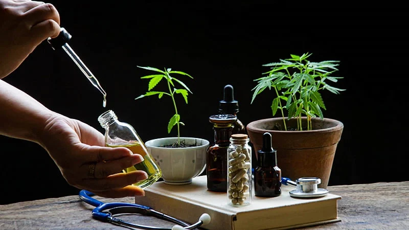 Increase Emotional Balance With Carefully Selected Delta 8 Flower Strains