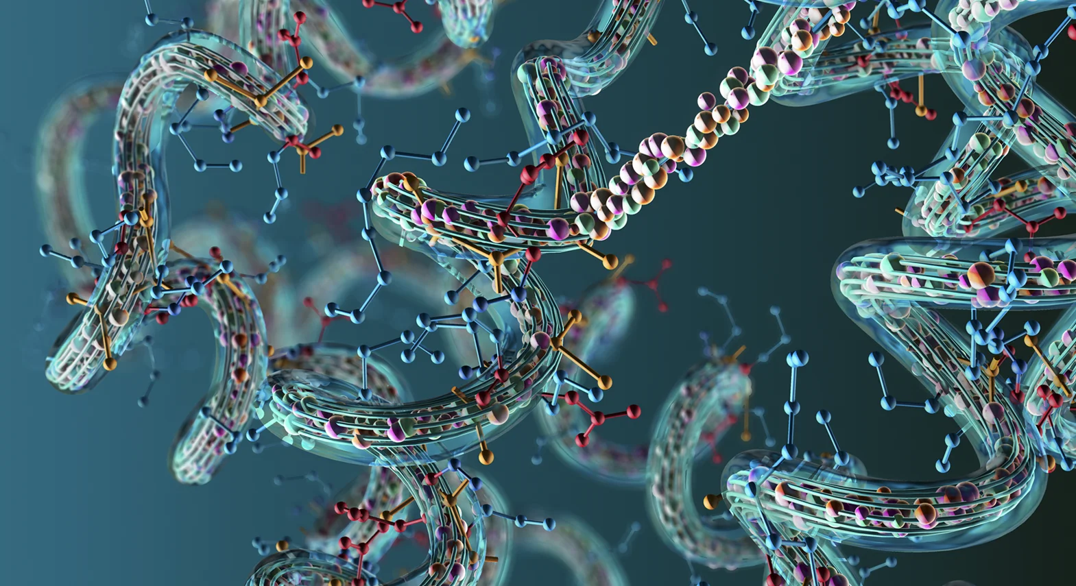 Peptide Research Examining Cellular Signals In Skeletal Tissue Formation